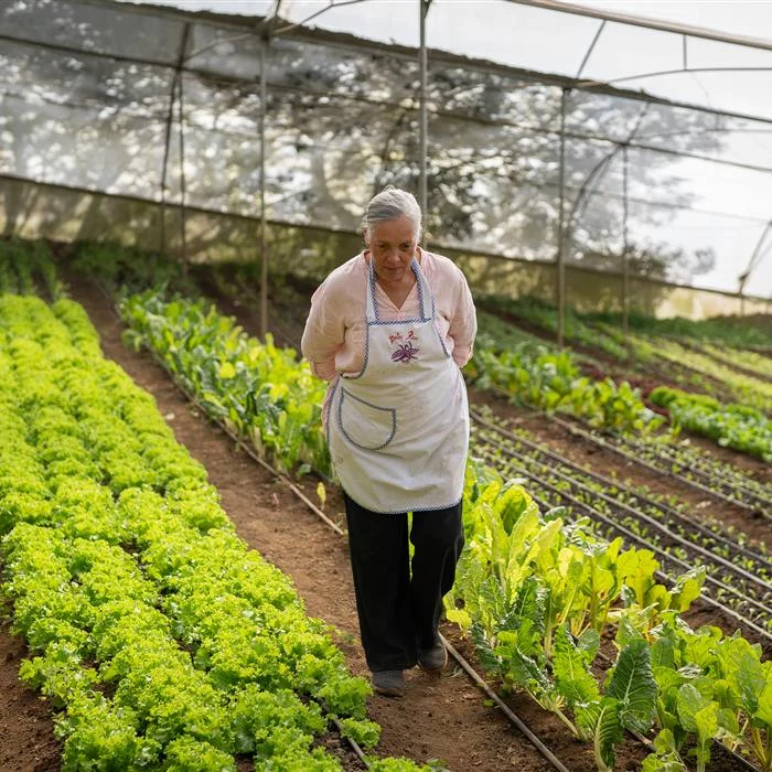 A local grower in her greenhouse